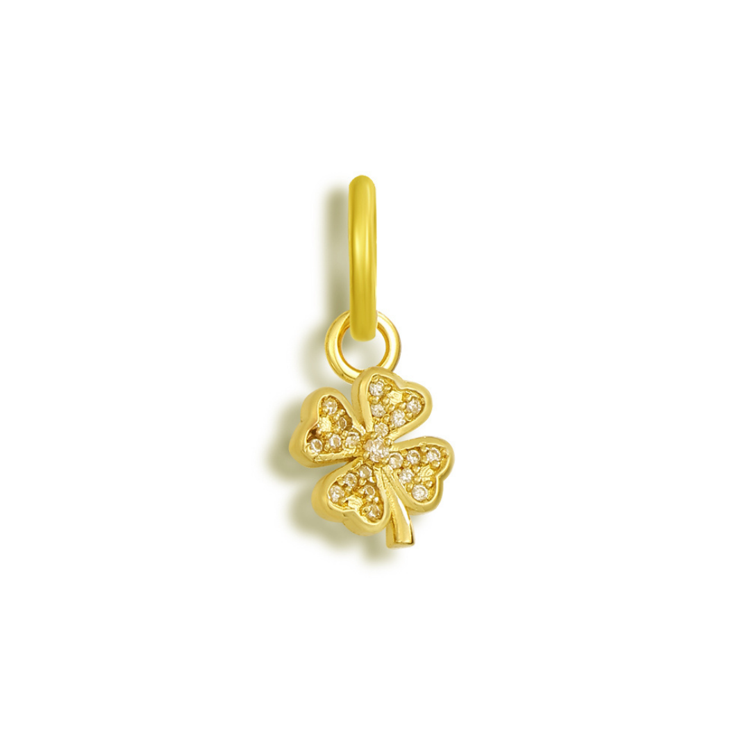 Bikini Charms