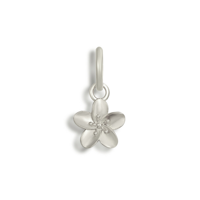 Bikini Charms